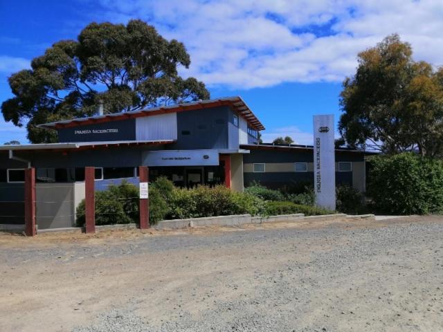 Albergue Swansea Backpackers Exterior foto
